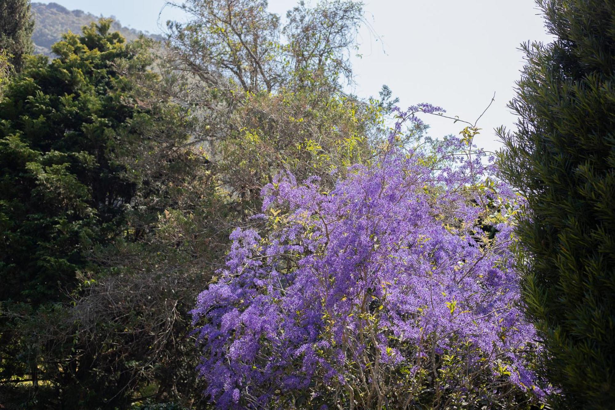 Recanto Dos Vianas Teresópolis Eksteriør bilde